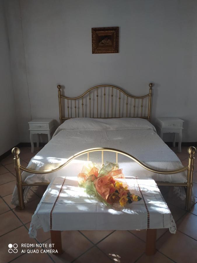 Bed and Breakfast La Rosa Selvatica Ravarino Экстерьер фото
