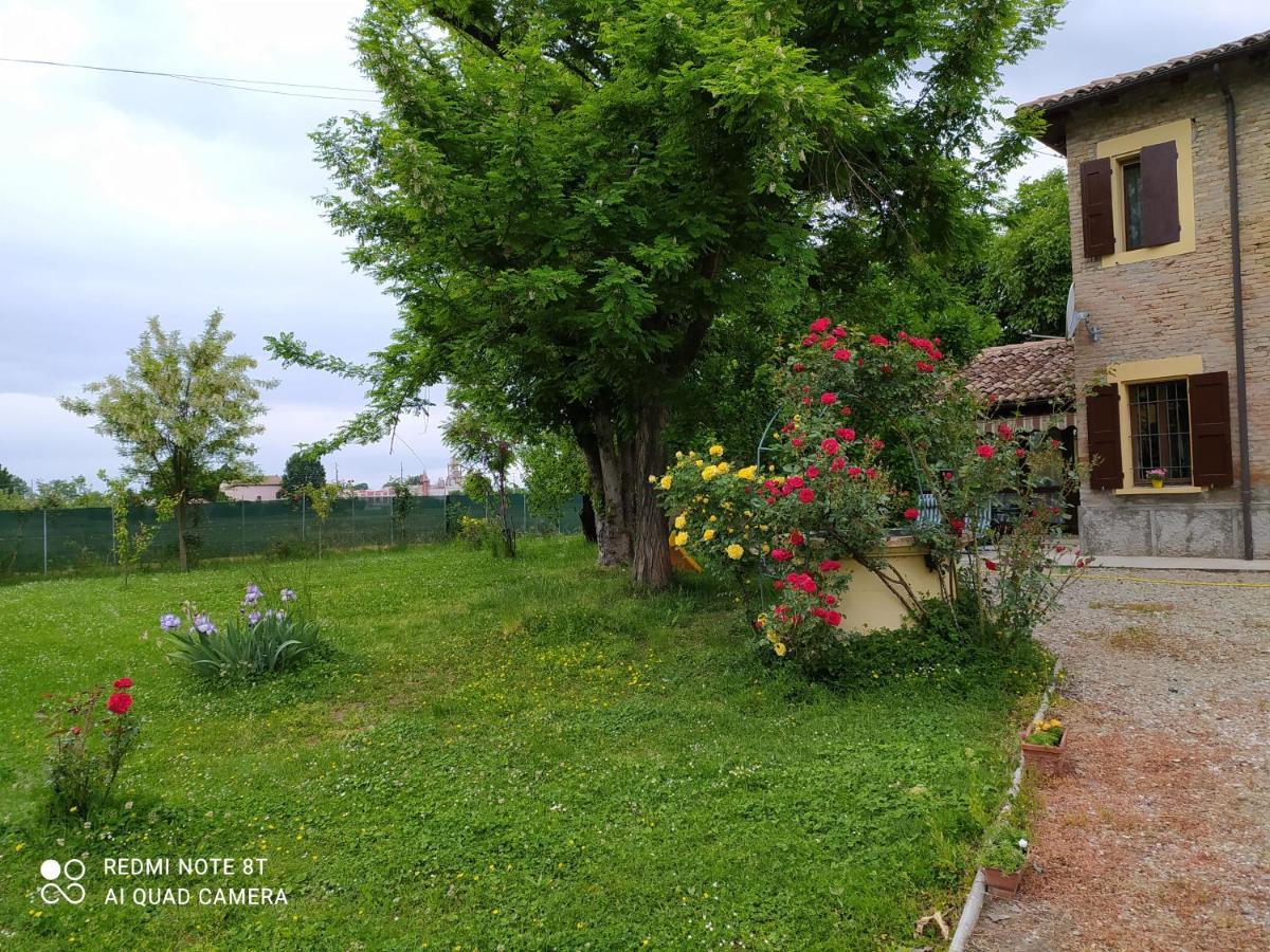 Bed and Breakfast La Rosa Selvatica Ravarino Экстерьер фото